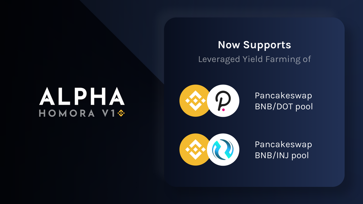 Alpha Homora (vBSC) Adds Leveraged BNB/DOT and BNB/INJ Pools