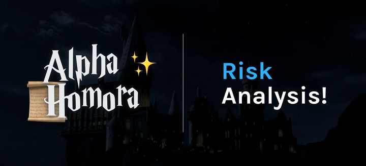 Alpha Homora's Risk Analysis ✨❗️
