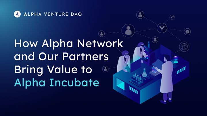 How Alpha Network and Our Partners Bring Value to Alpha Incubate